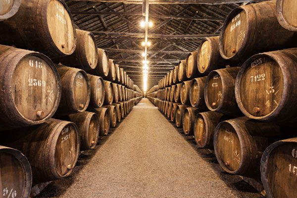 Diseños Web para Tiendas Online de Vinos y Bodegas: Ejemplos de diseños web creativos y funcionales para tiendas virtuales especializadas en vinos y bodegas.